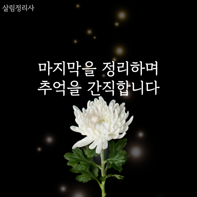 업체