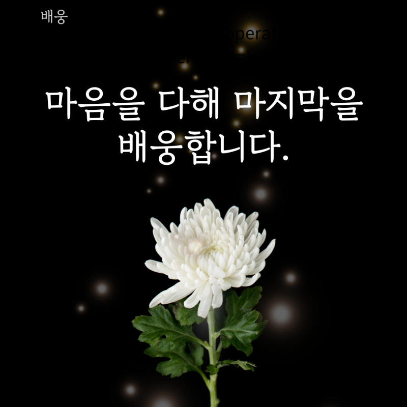 업체
