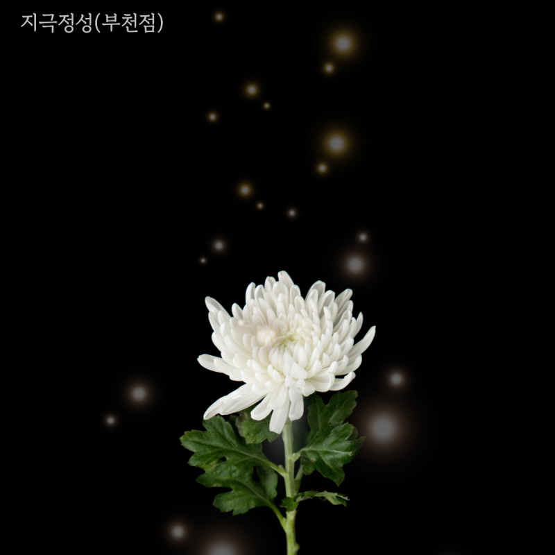 업체