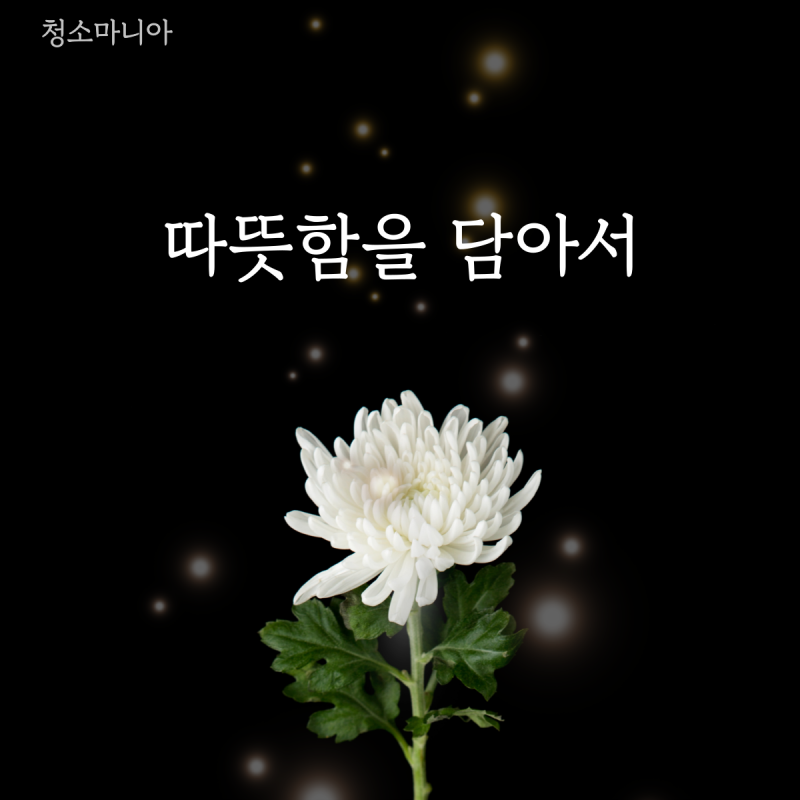 업체